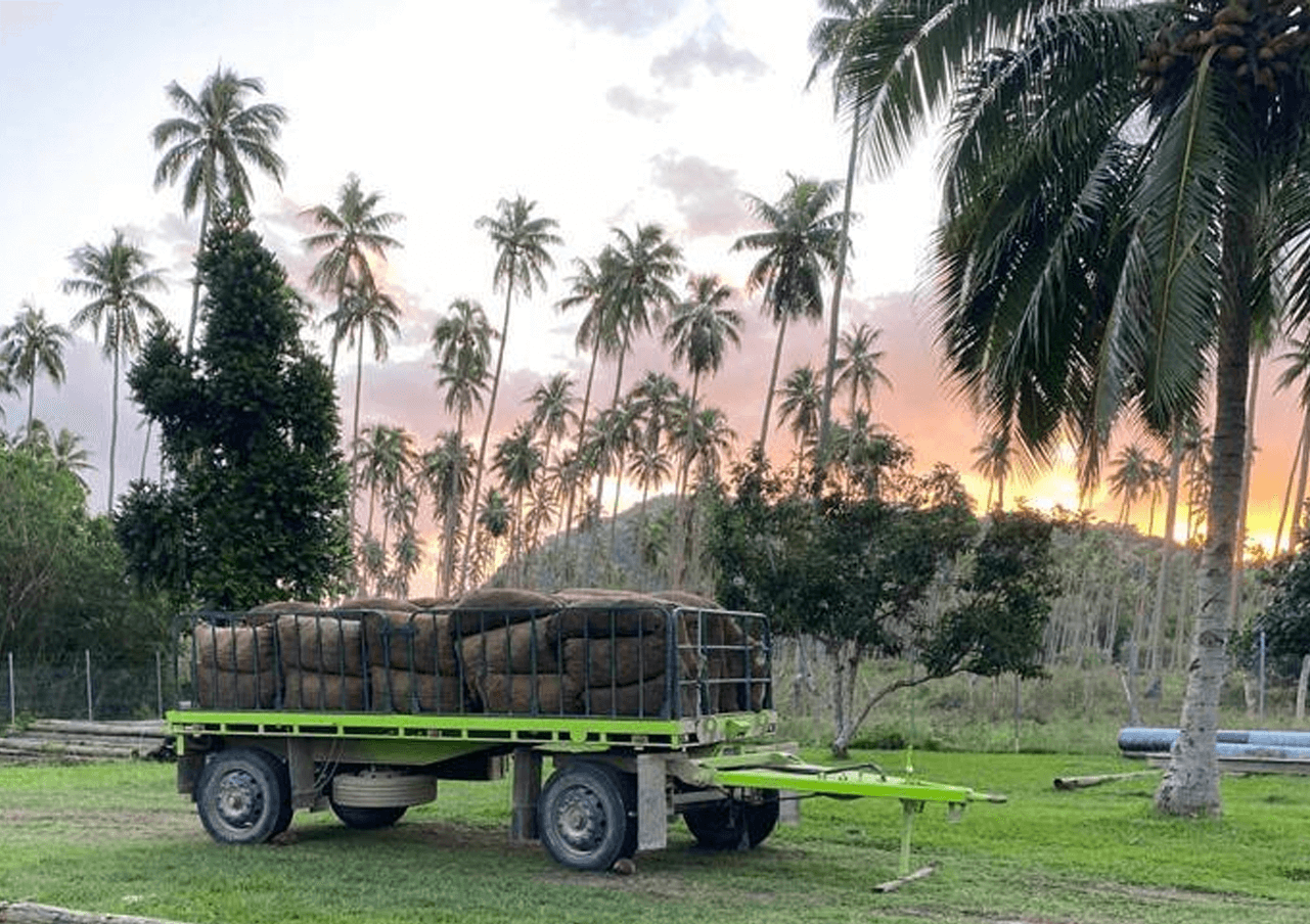 cno-and-vanuatu-basket